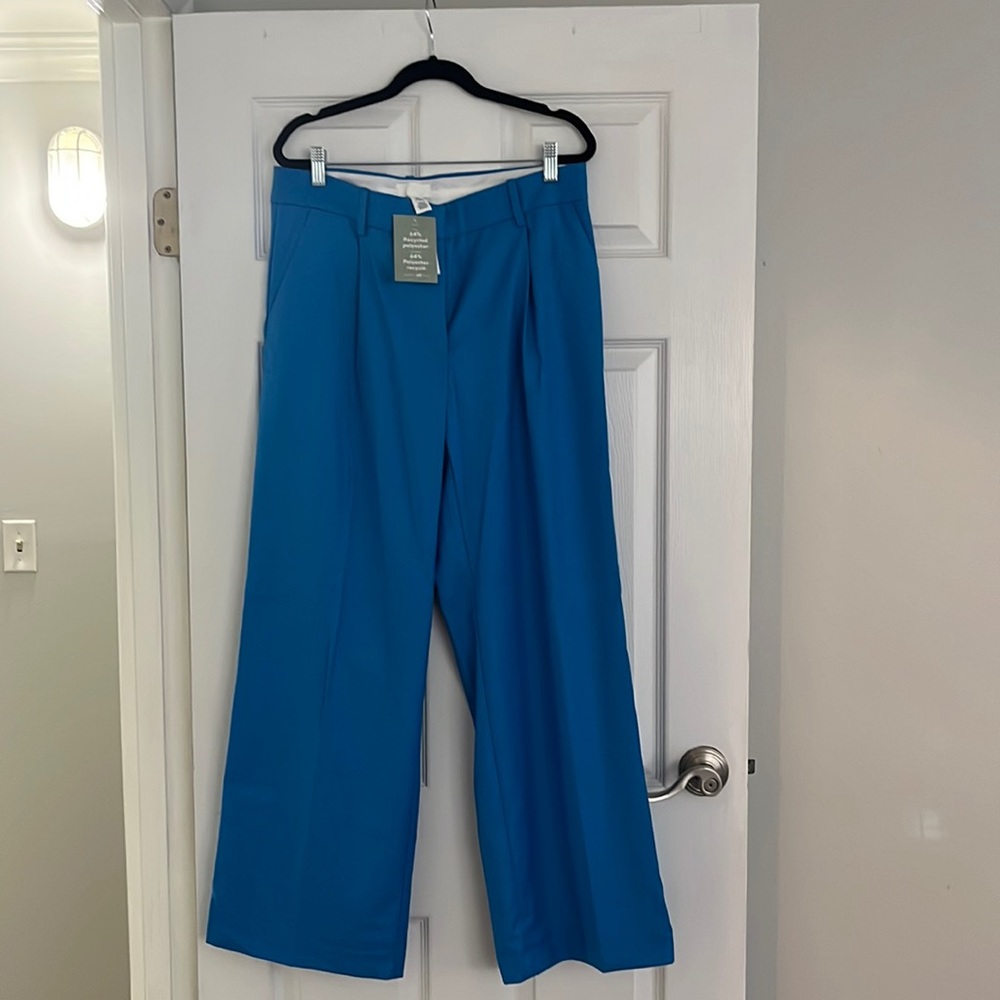 H&M Blue Trouser Pants